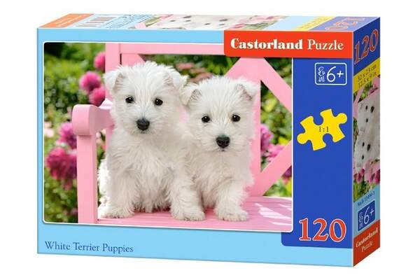 Пазл Castorland 120 midi B-13494 (шт.)