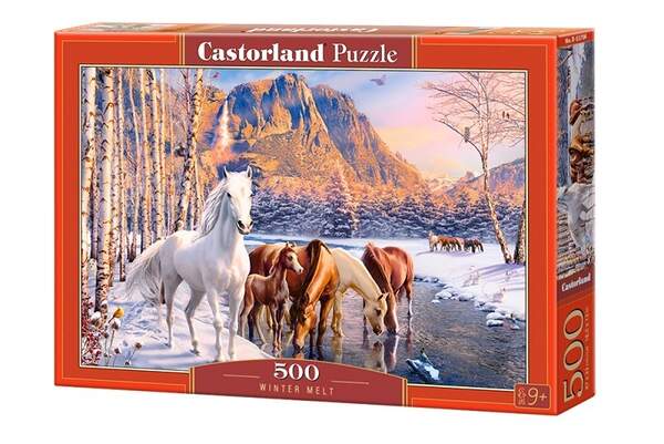 Пазл Castorland 500 B-53704 (шт.)