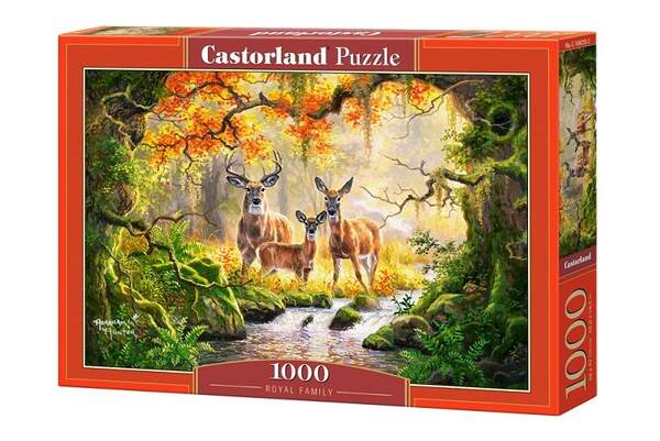 Пазл Castorland 1000 C-104253 (шт.)