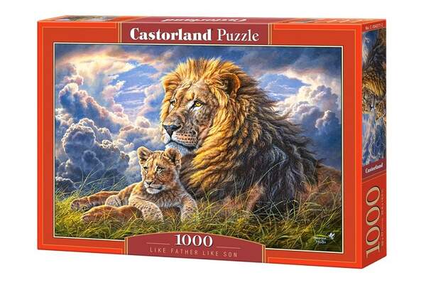 Пазл Castorland 1000 C-104277 (шт.)
