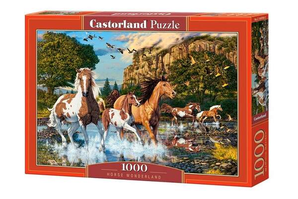 Пазл Castorland 1000 C-104789 (шт.)