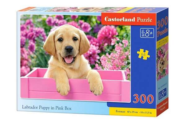 Пазл Castorland 300 B-030071 (шт.)