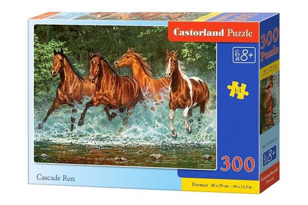 Пазл Castorland 300 B-030361 (шт.)
