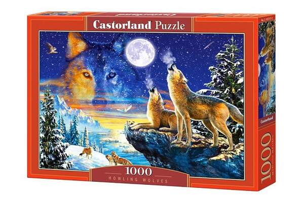 Пазл Castorland 1000 C-103317 (шт.)