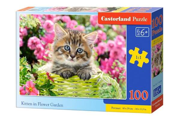 Пазл Castorland 100 B-111039 (шт.)