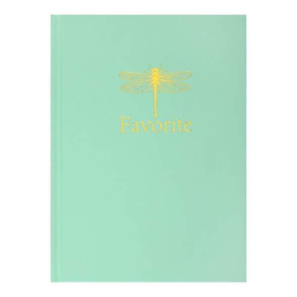 Записна книжка FAVOURITE, PASTEL, А5, 96 арк., кліт, офсет крем, тв. лам. обкл., м'ятна BM.2410-438 (шт.)