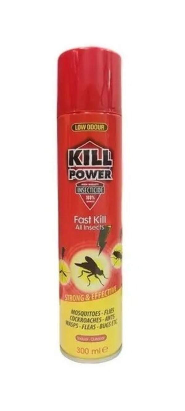 608454 Інсектицид KILL POWER від усіх видів комах 300мл (шт.)