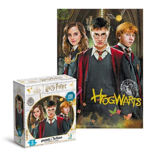 200498 Пазл Medium-S «Harry Potter. Гаррі та друзі» (250 елементів) 200498 (шт.)